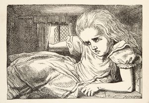 Alice devient trop grande pour la pièce, Les Aventures d